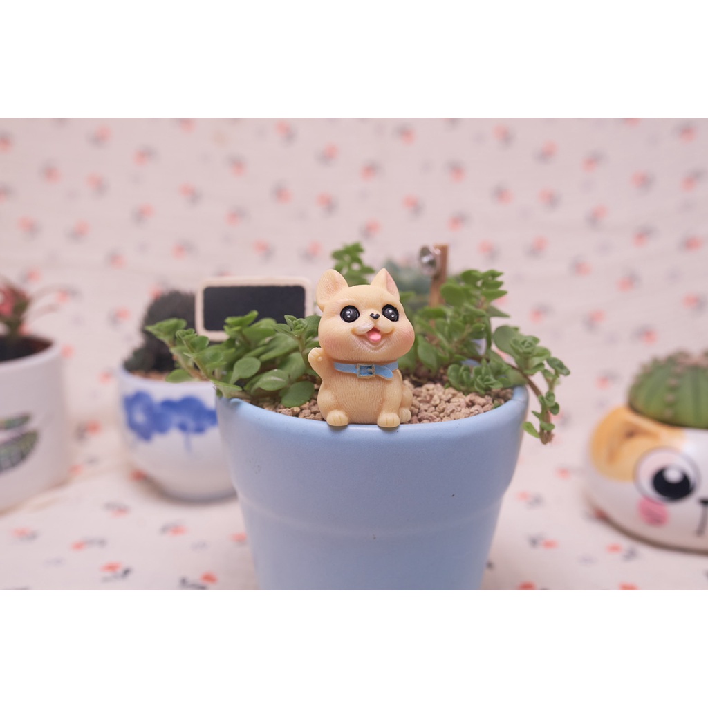 Phu kiện Chú Chó Shiba mắt to