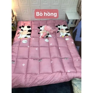 Topper Nệm trải giường hay trải sàn( hàng trên 3kg)
