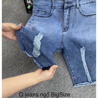 Quần ngố jean giãn rách tua lai Bigsize