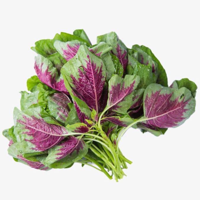 Hạt giống rau Dền Khoang (Tặng kèm phân)