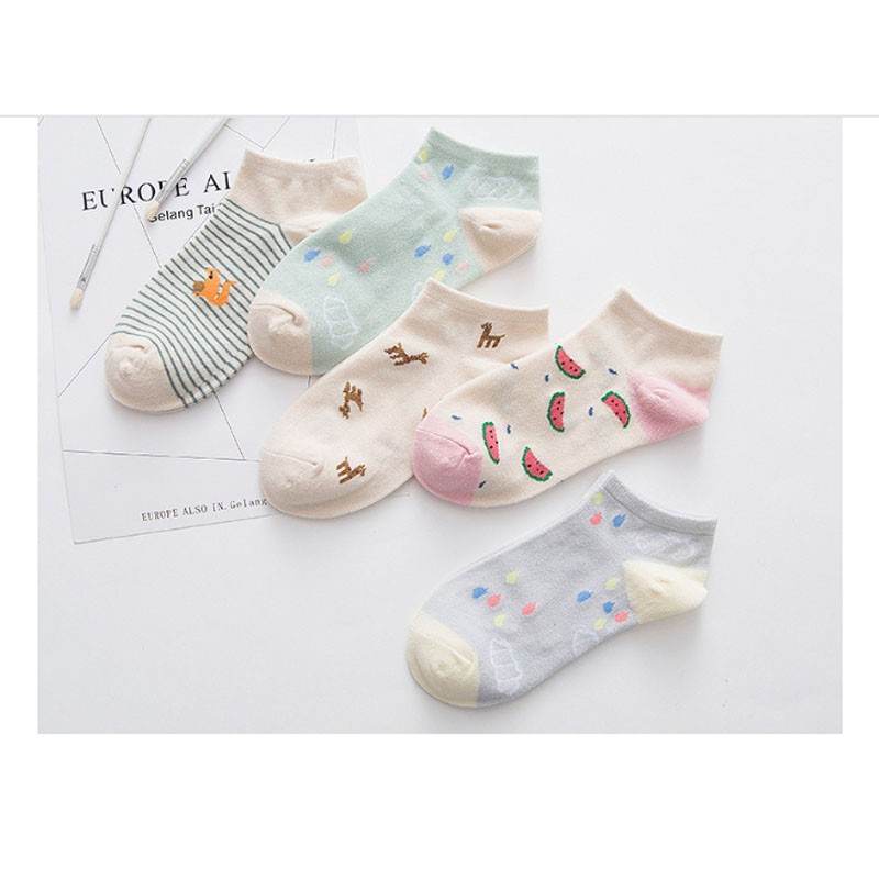 Set 5 Đôi Vớ Tất Nữ Dễ Thương Style Hàn