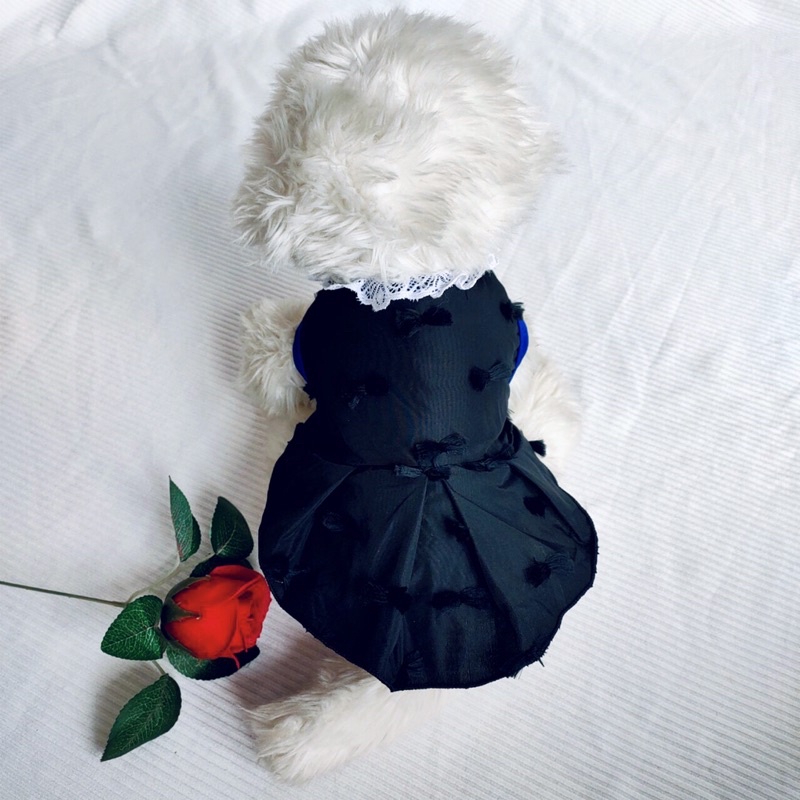 Đầm đen hoạ tiết kèm nơ thời trang dành cho thú cưng, Quần áo chó mèo LaLi Petfashion