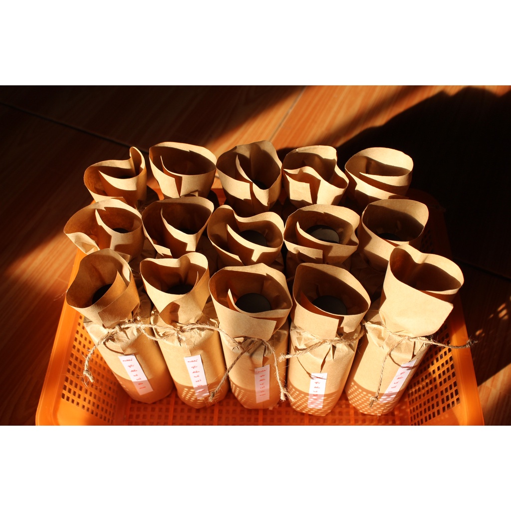 Nước Gội Đầu Bồ Kết Lên Men 500ml