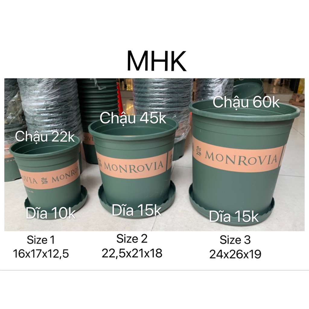 Chậu Monrovia Size 1 2 3