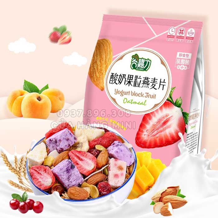 【HOT】 Ngũ Cốc Sữa Chua Ăn Kiêng Tăng Giảm Cân Mix Hoa Quả Yogurt Block Fruit - 500g
