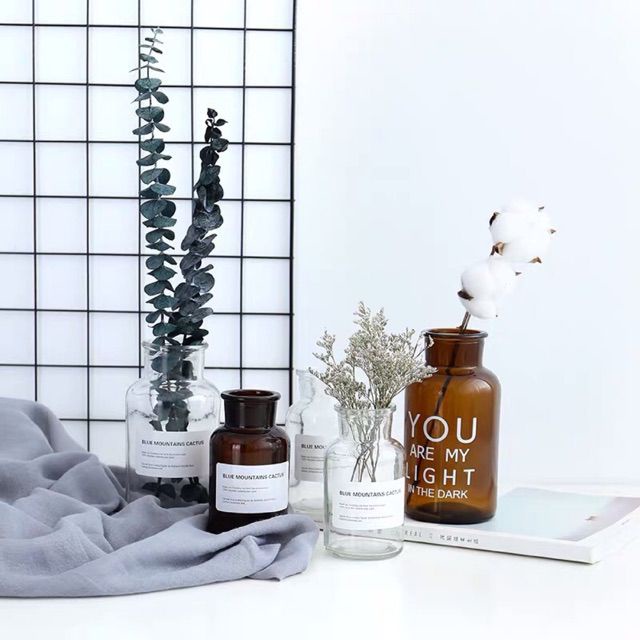 🍁Cành lá Khuynh Diệp khô cắm lọ🍁 Cành lá bạc khô trang trí decor phòng ngủ🍁