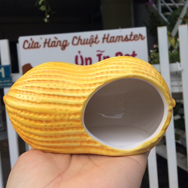 Nhà ngủ sứ hamster ĐẬU PHỘNG siêu mát, dễ thương