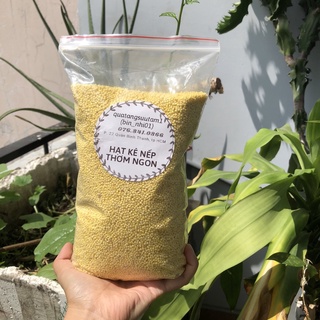 Hạt kê nếp đã tách vỏ, dùng nấu chè, sữa,cơm.túi 250gr hút chân không