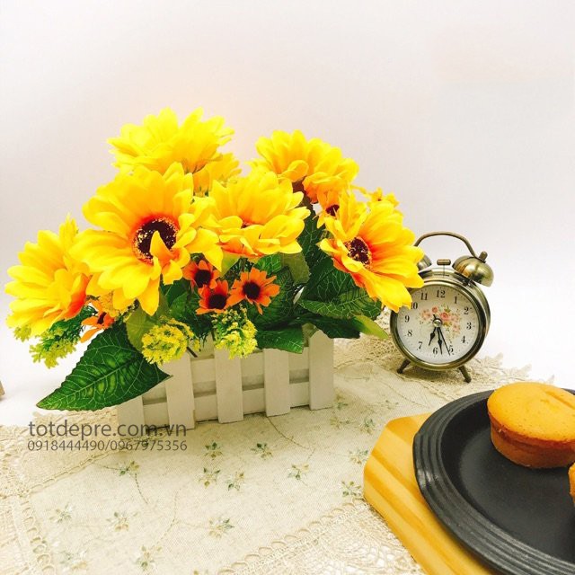 Hàng Rào Hoa Hướng Dương