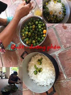 Siro húng chanh 80ml