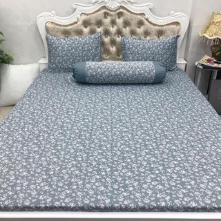 Bộ Drap Thun Hàn Quốc mát lạnh 4 món