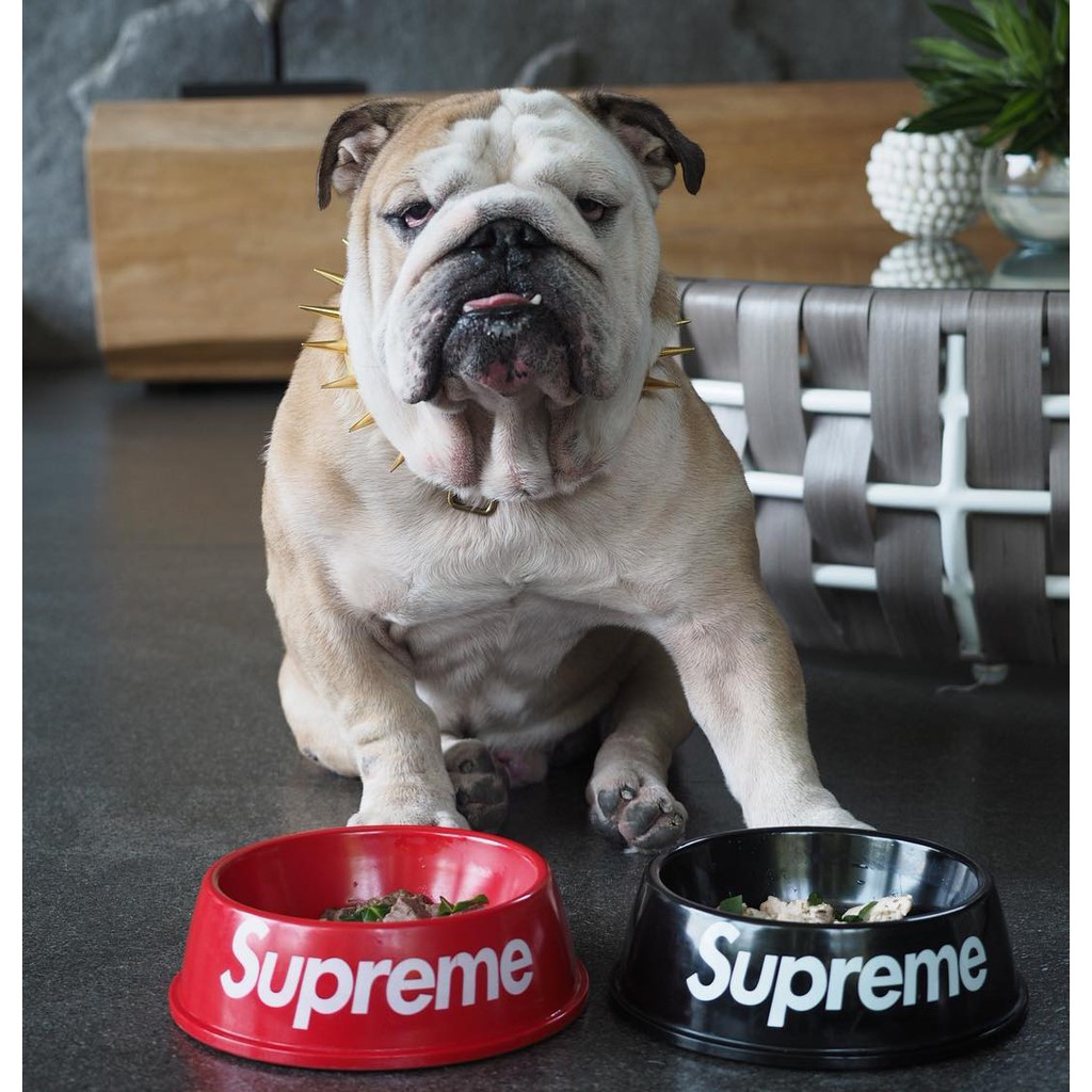 Tô pet Supreme, tô thức ăn chó mèo Supreme