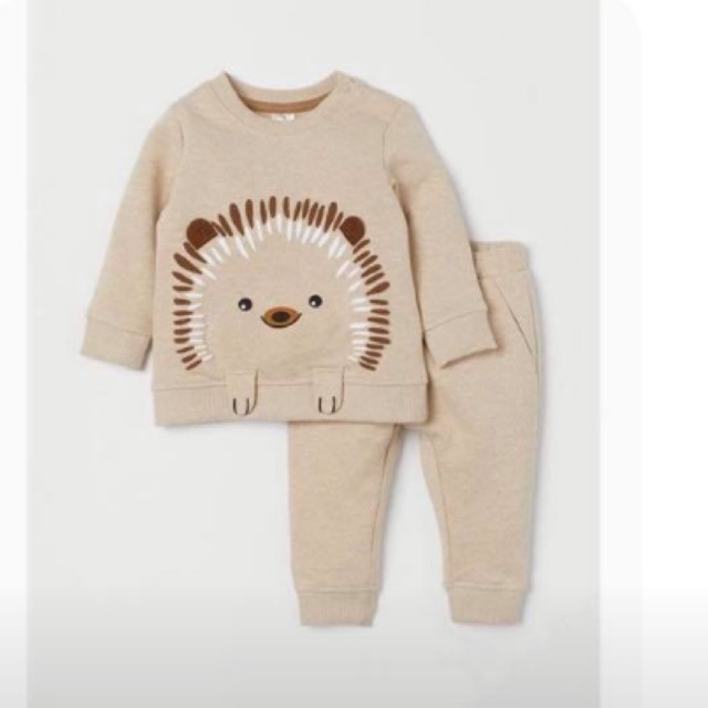 Bộ nhím nâu xám của HM