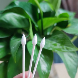 Tăm bông y tế  trẻ em, người lớn GEMMI thân gỗ ( lọ 200 cây) đầu bông xoắn và nhọn, an toàn, thân thiện môi trường