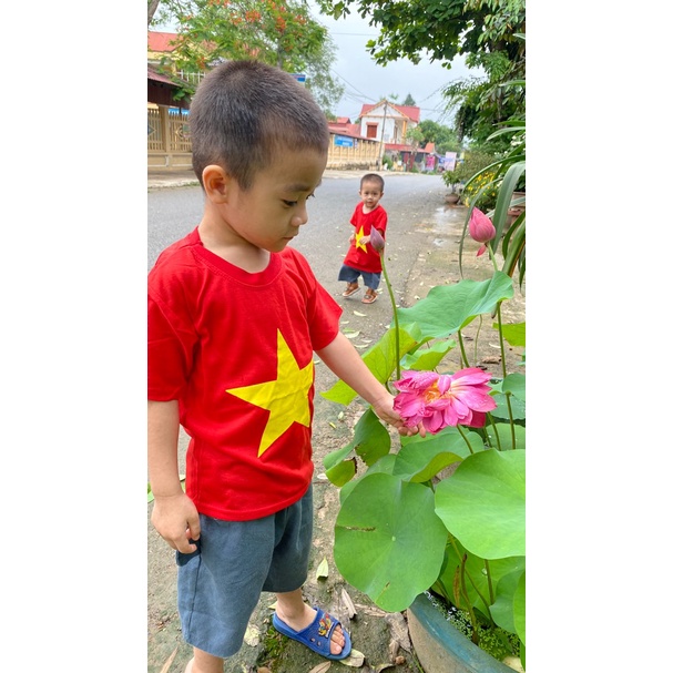Sỉ áo cờ đỏ sao vàng người lớn loại sịn