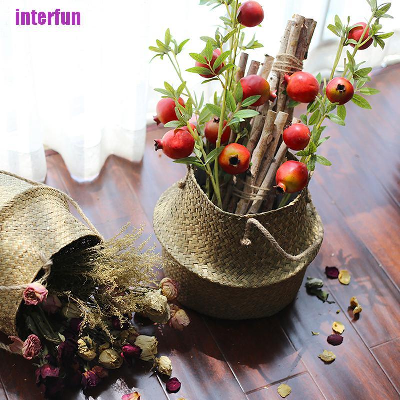 Chậu Hoa / Dụng Cụ Ăn Uống Có Thể Gập Lại Cho