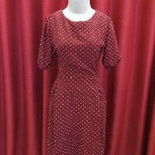 Váy chấm bi dáng dài