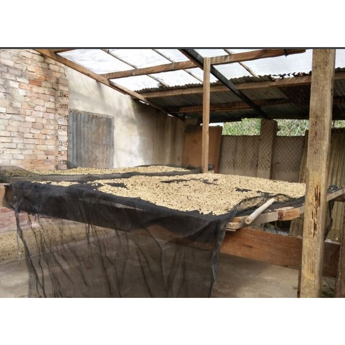 Cà phê sạch, nguyên chất, Bourbon coffee 500g | BigBuy360 - bigbuy360.vn