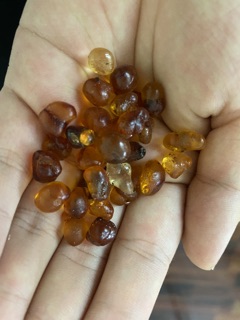 Nhựa đào thượng hạng  100g
