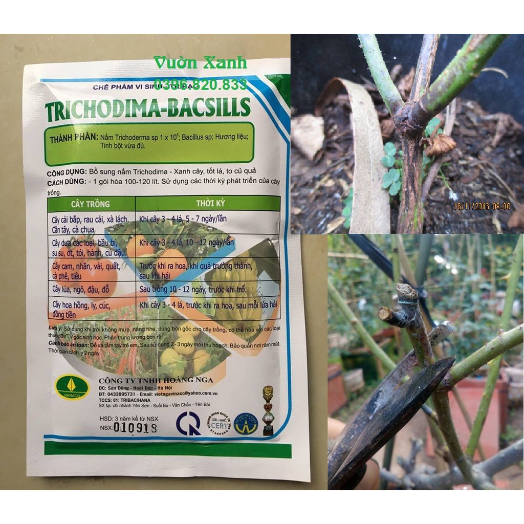 ( HOT ) Chế phẩm Trichoderma dùng tưới cây, trộn giá thể phòng trừ nấm bệnh 100gr
