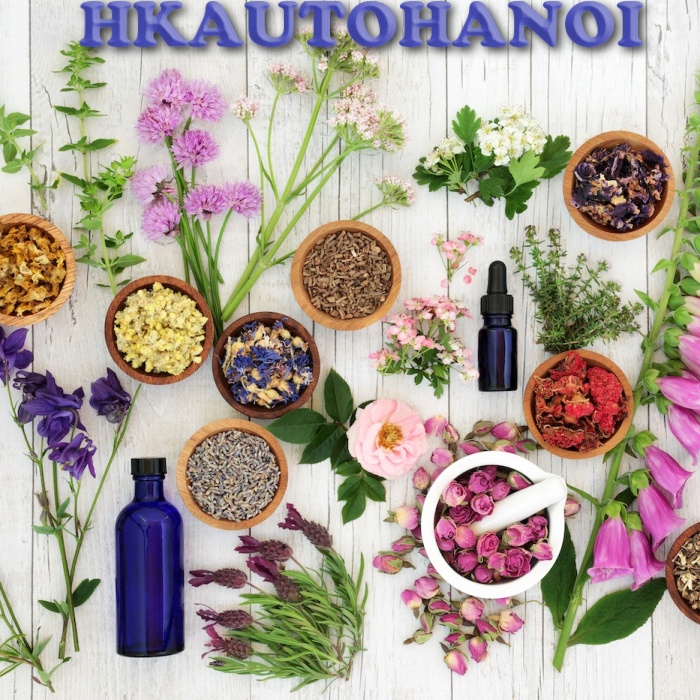 ⚡️GIÁ SỐC⚡️Tinh dầu Quốc Mộc nguyên chất có kiểm định nhiều mùi 10ml, treo xe, kẹp điều hòa: Tinh dầu Sả Chanh, Bạc Hà