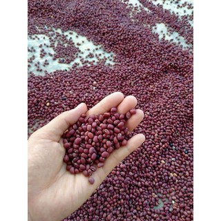 Đậu Đỏ Đậu Quê hạt nhỏ