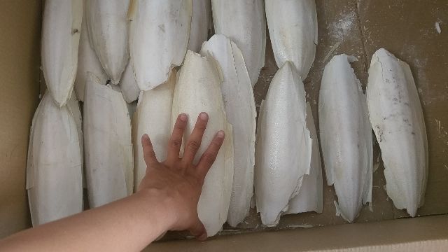 5 MIẾNG NAN MỰC SIÊU TO size 20 đến 24