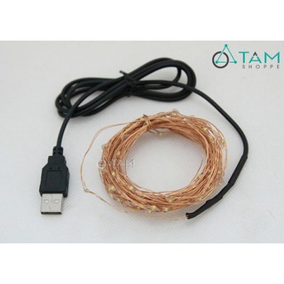 Dây đèn Led dây đồng đom đóm Fairy Light 10m cổng USB (nhiều màu chọn) TAN