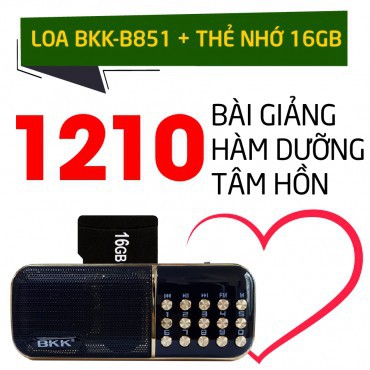 [Mã ELORDER5 giảm 10K đơn 20K] LOA PHÁP THOẠI 1210 BÀI HÀM DƯỠNG TÂM HỒN