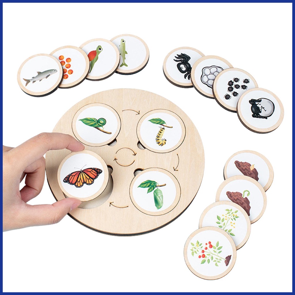 Bộ Đồ Chơi Xếp Hình Vòng Đời Của Đời Sống Bằng Gỗ Kèm Năm Ngăn Dành Cho Bé