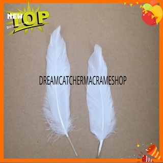 Lông vũ tự nhiên