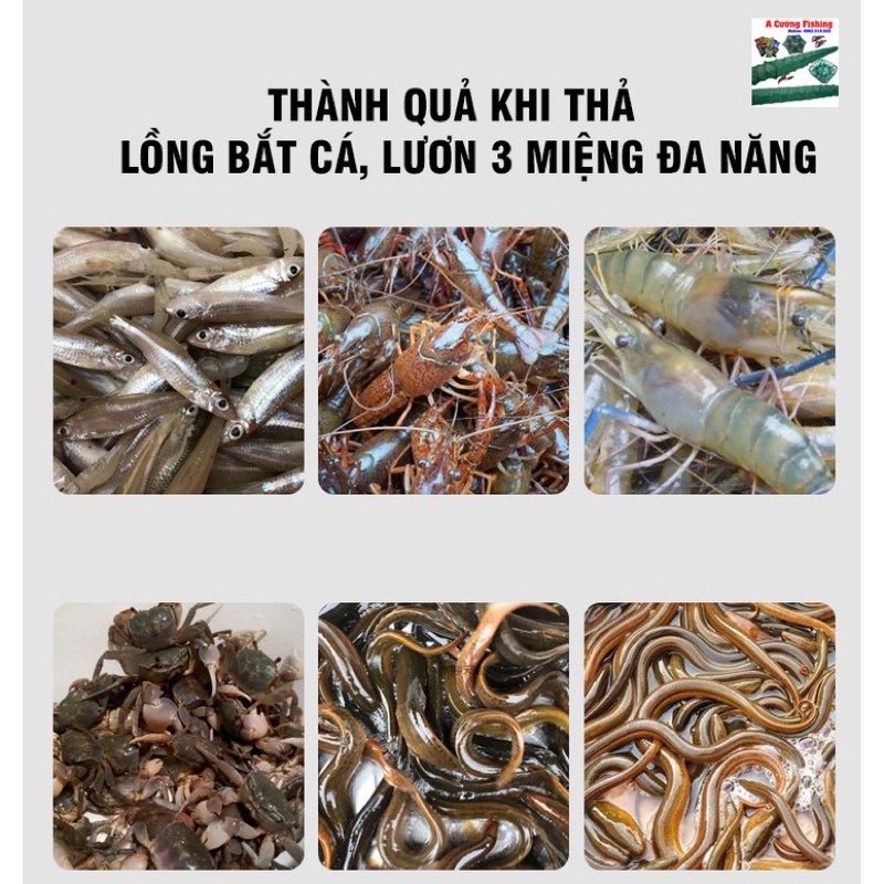 Rọ Bắt Lươn Cá 3 Cửa - Lồng Bẫy Bắt Lươn, Tôm Cua Cá 3 Cửa Dễ Vào Mà Khó Ra