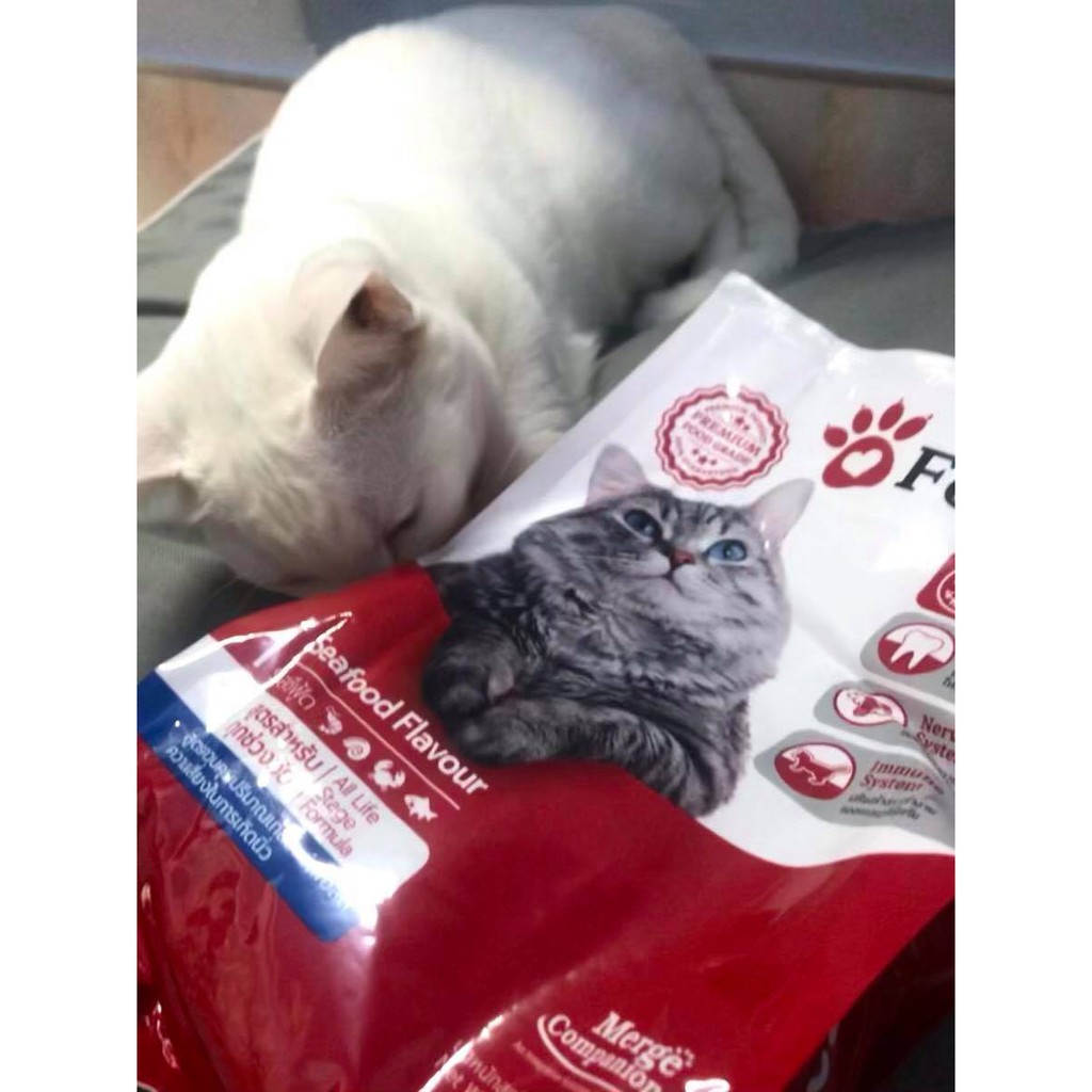 Combo 1 gói Thức ăn cho mèo của Thái FELIPRO + 2 chậu cỏ mèo tươi