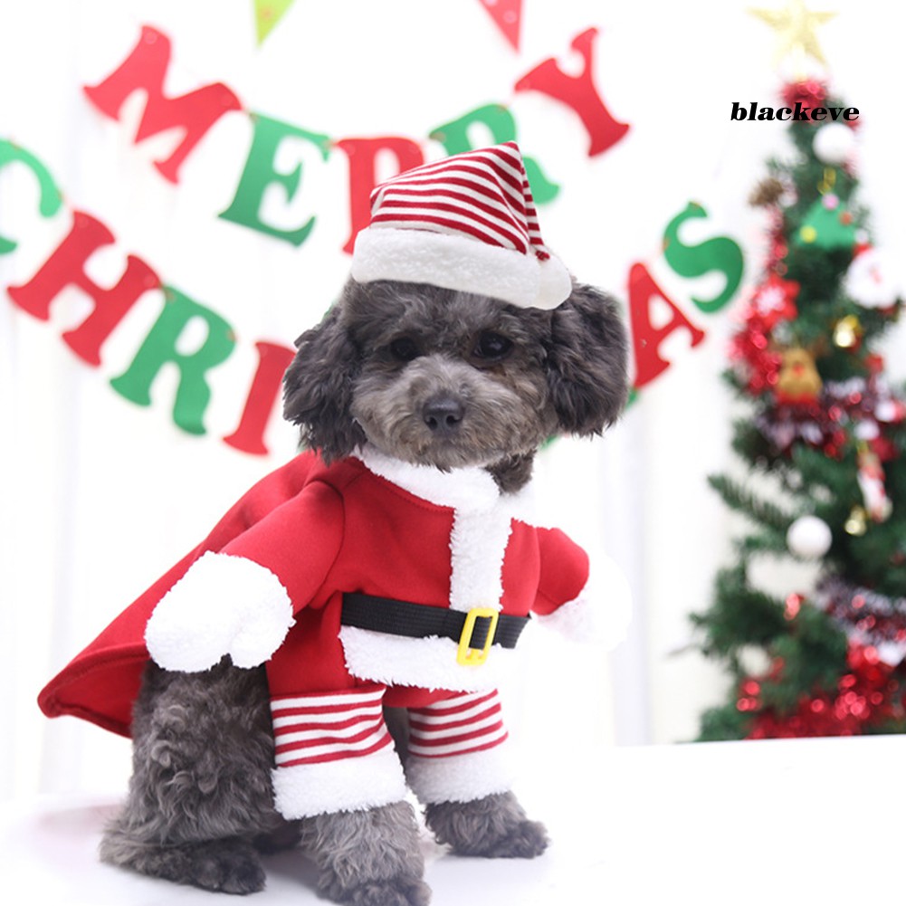 Bộ quần áo hóa trang ông già Noel dễ thương cho thú cưng