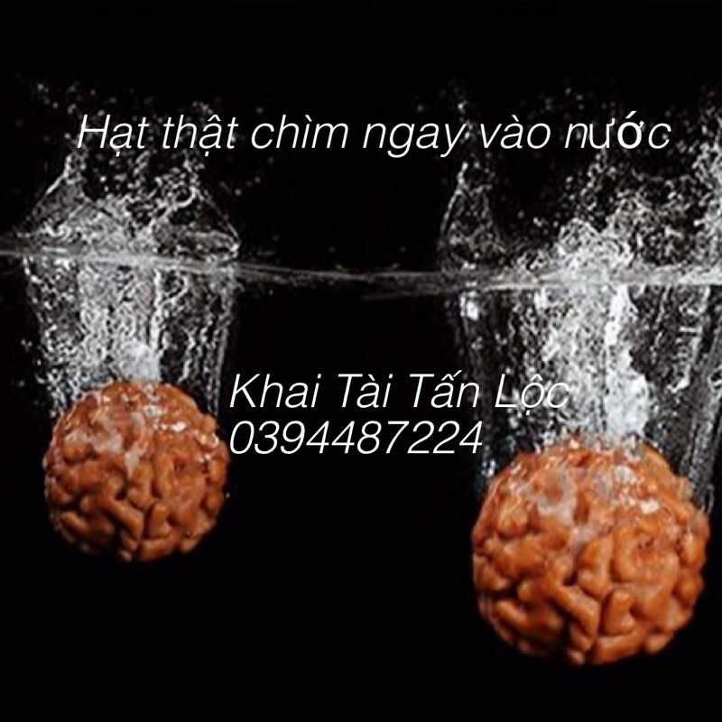 Vòng chuỗi 108 hạt Bồ đề kim cang tự nhiên 10mm và om mani padme hum Tây Tạng