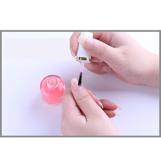 Sơn Lót & Sơn Bóng Base, Top Coat