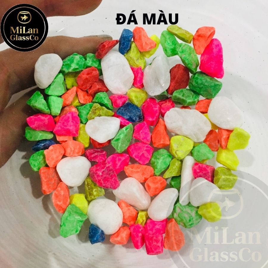 SỎI ĐÁ NHIỀU MÀU 50G, 100G, 1KG ( 1 KÝ )TRANG TRÍ TIẾU CẢNH SEN ĐÁ CÂY THỦY CANH HỒ CÁ  ML-SM