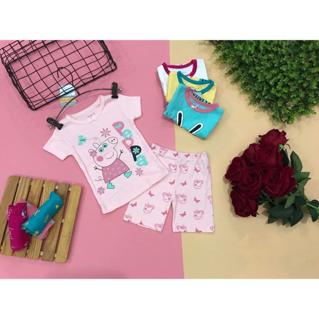 Set bộ bozip xuất