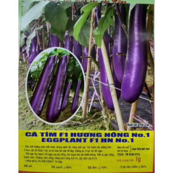 HẠT CÀ TÍM DÀI F1 THÁI LAN - GÓI 1 GRAM
