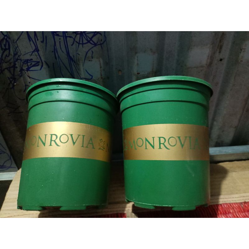 Chậu nhựa trồng cây 16*17cm