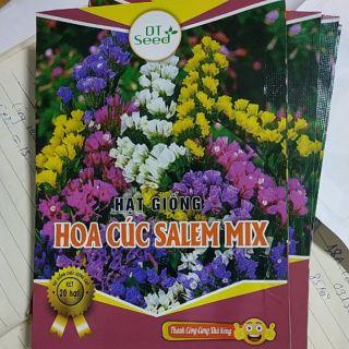 GIÁ  SỐC 10K VỚI 2 GÓI HẠT GIỐNG HOA SALEM F1 -  Rau củ quả trồng tại vườn, sân thượng, nông trang, ban công