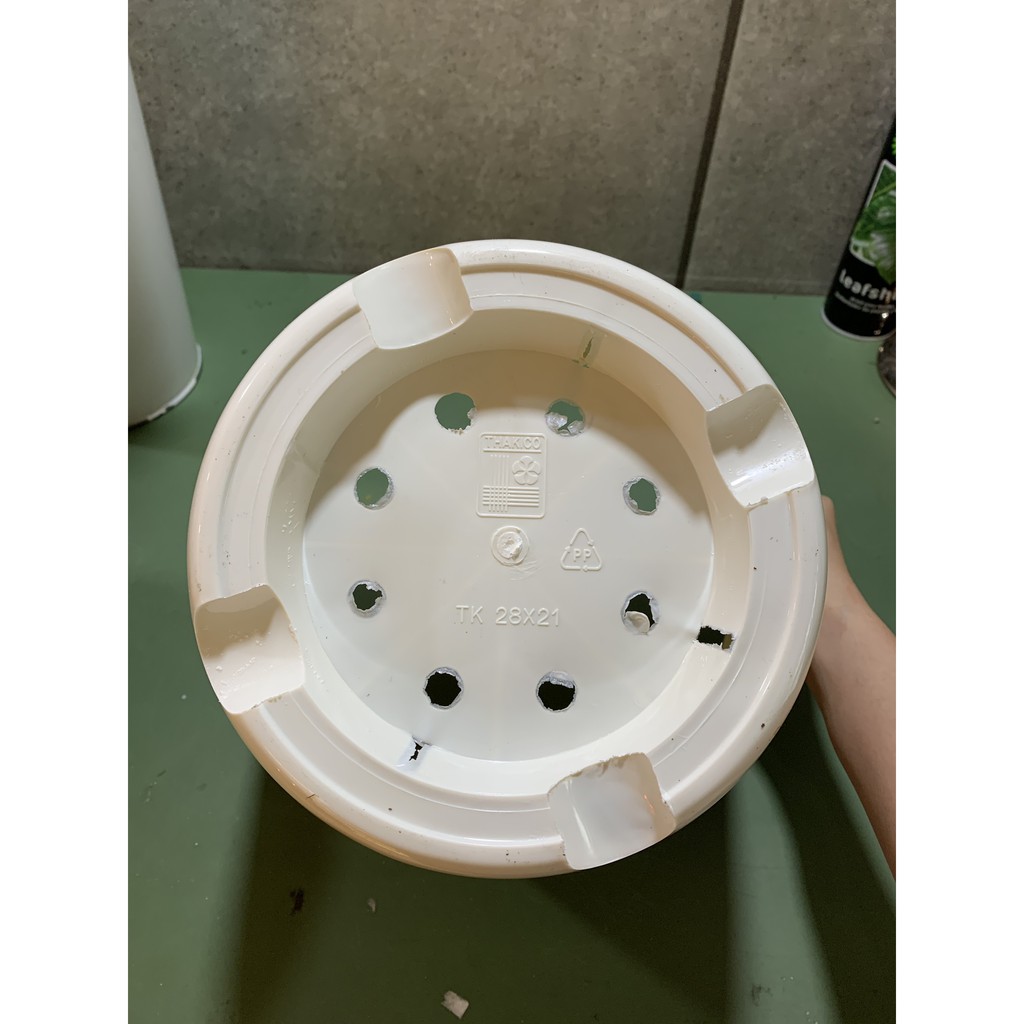 Chậu nhựa Cát Tường 28x21 (cm) trắng nhũ vàng nhựa cứng !