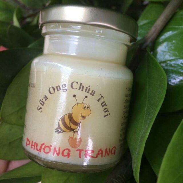 Sữa ong chúa tươi Phương Trang
