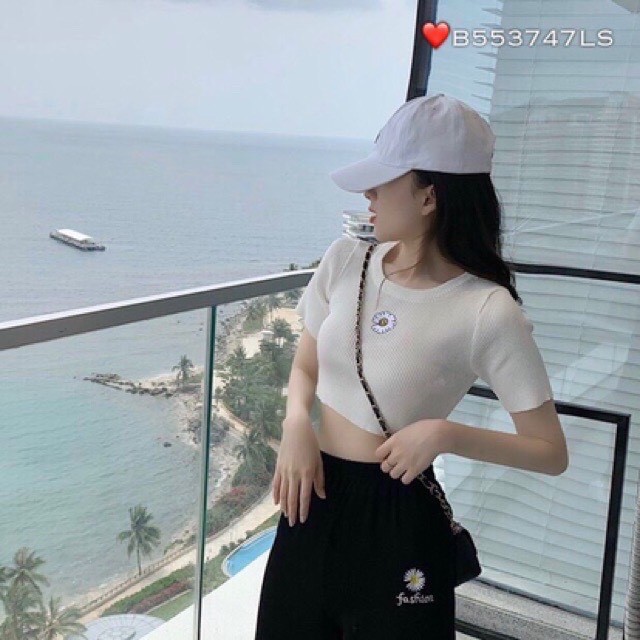 [Mã FAMAYWA giảm 10K đơn 50K] Áo Thun Croptop Thêu Hoa Cúc Body 4 Màu Xinh Xắn | BigBuy360 - bigbuy360.vn