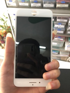 Màn 8plus zin