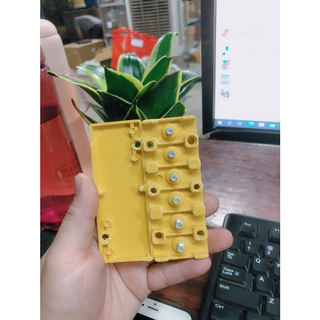 Cầu đấu acquy nhựa 6 ốc Xe Cỏ