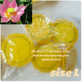 5C NHỤY SEN SIZE L( đk 3.5cm)