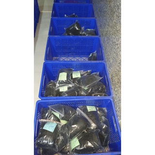 LƯỚI CHIM ĐÊM => CƯỚC THÁI - ĐÁNH TỔNG HỢP CHIM BAN ĐÊM