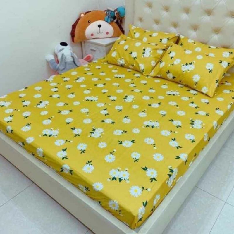 SET GA Gối POLY