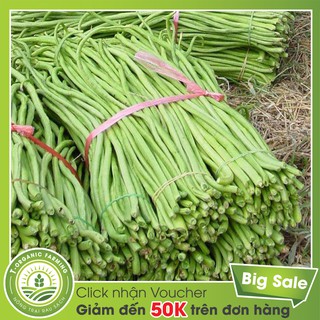 Hạt Giống Đậu Đũa 50g